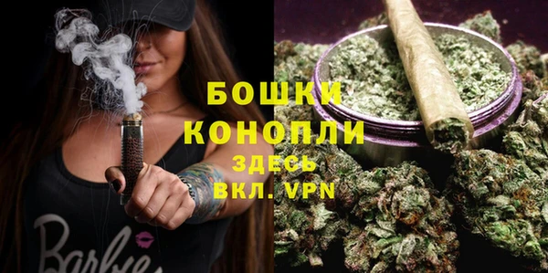 a pvp Белокуриха