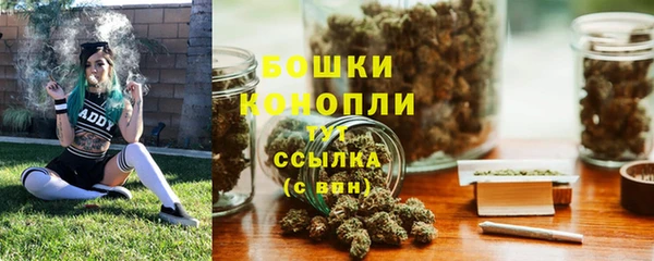 PSILOCYBIN Беломорск