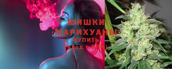 дживик Белоозёрский