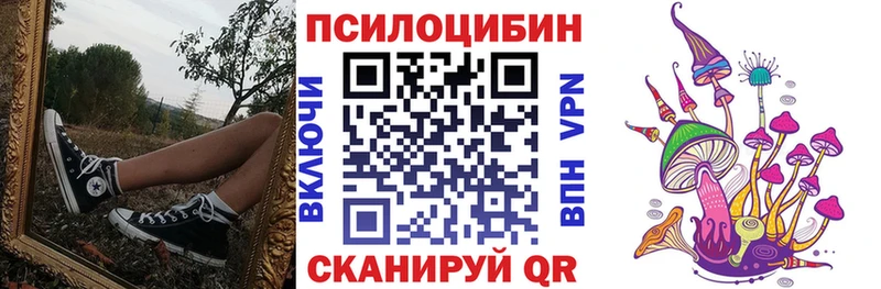 Купить  Верещагино  Псилоцибиновые грибы мицелий 
